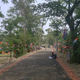 Political flags hang from the trees on the side of the road in a Sunderbans village.